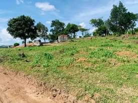 A picture of PLOTS