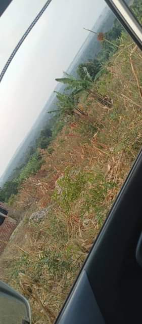 A picture of  Land On Quick sale MONEY NEEDED TODAY Location Kapeeka