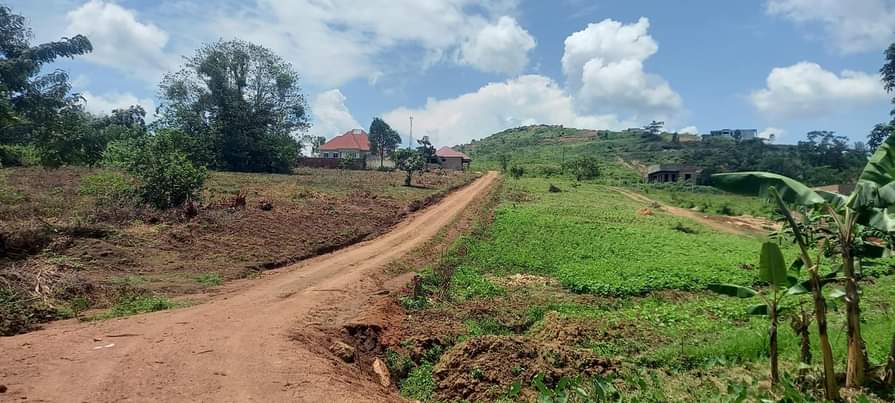 A picture of ESTATE GAYAAZA KIWENDA
