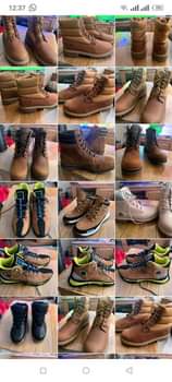 stands