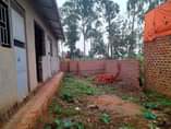 A picture of 4 single rooms for sale at 14m.Nansana