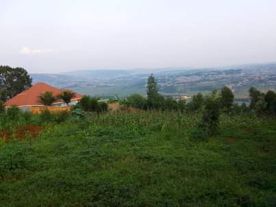 kagugu accommodation