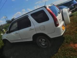 used honda crv