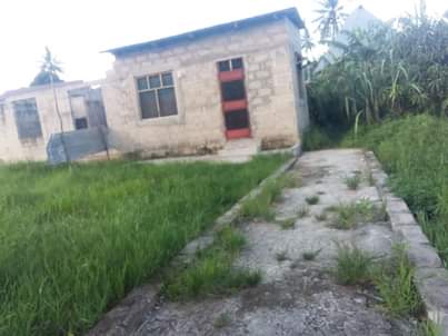 A picture of Nyumba.