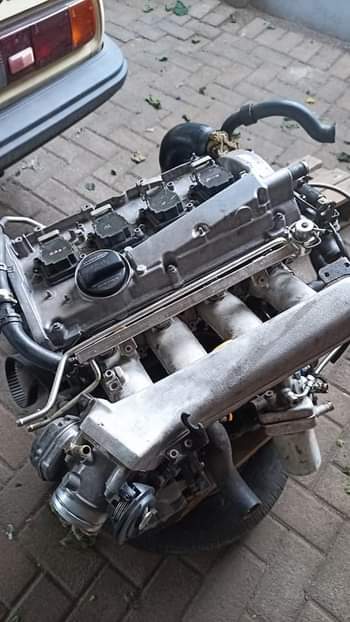 VW's F.