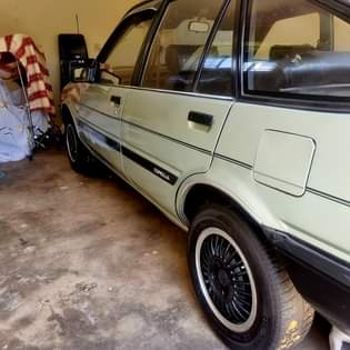 bakkies A.