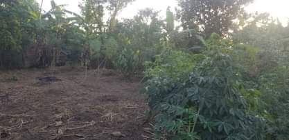 A picture of Am selling Agreement Plot 50ft by 50ft 12Million after YMCA