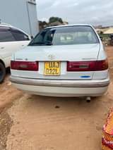 A picture of Premmio for sale call me on 256751331103 or what app