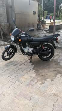 A picture of Boxer BM 125