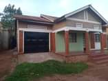 A picture of Makindye kizungu quick sale house