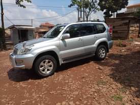 A picture of Tx prado