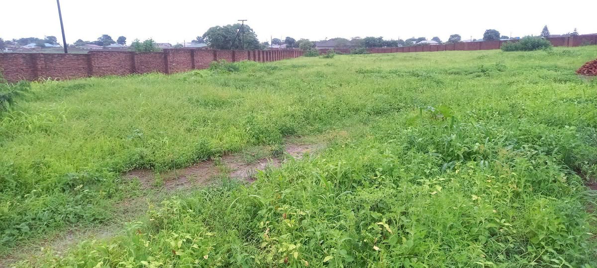 land