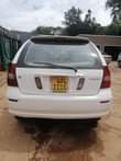 A picture of Nadia for sale call me on 256751331103 or what app