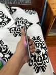 A picture of s10plus