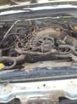 A picture of NISSAN XTERRA