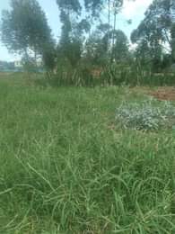 A picture of ANTI MR PROPERTY MANAGEMENT CHEAP PLOTS FOR SALE LOCATED AT