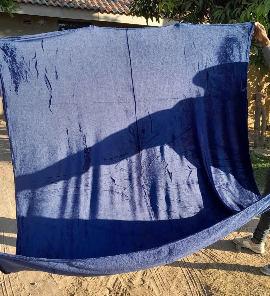 classifieds/blankets