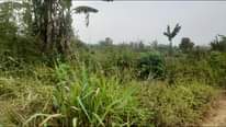 A picture of BUY 10 ACRES AT 7M EACH