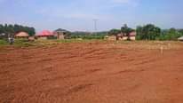 A picture of YOU HAVE BEEN LOOKING FOR A PLOT NEAR KAMPALA CITY