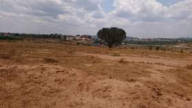 Tukamushaba D.