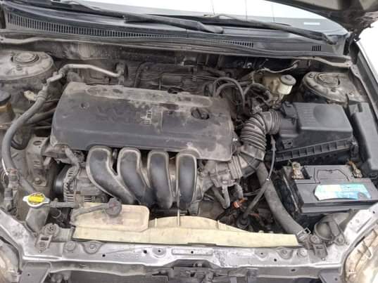 A picture of registered 05 corolla very fast fish on first body with