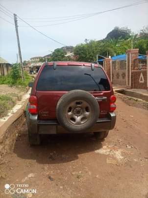 A picture of Liberty geep 2004 model