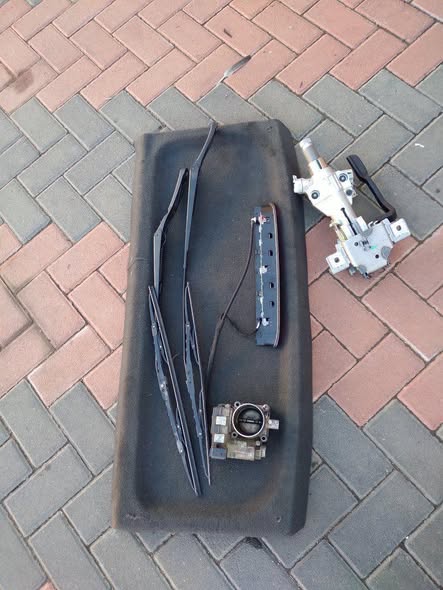 polo vivo