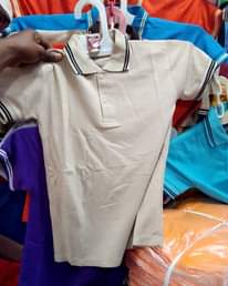 A picture of T shirt plain