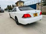 A picture of BEIII POAAA CALL 0684900691