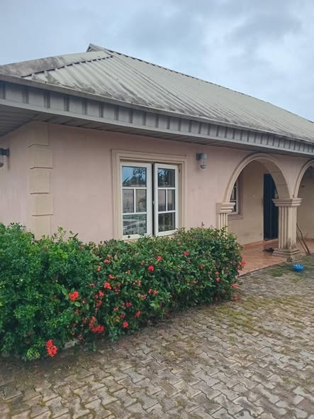 A picture of House