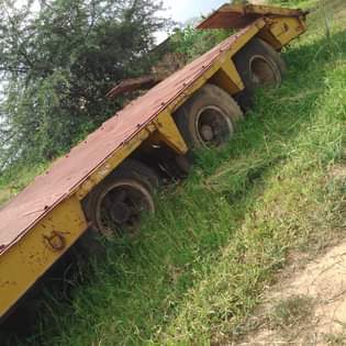 A picture of Tera Lowbed