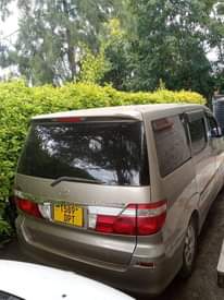 A picture of GARI INAUZWA
