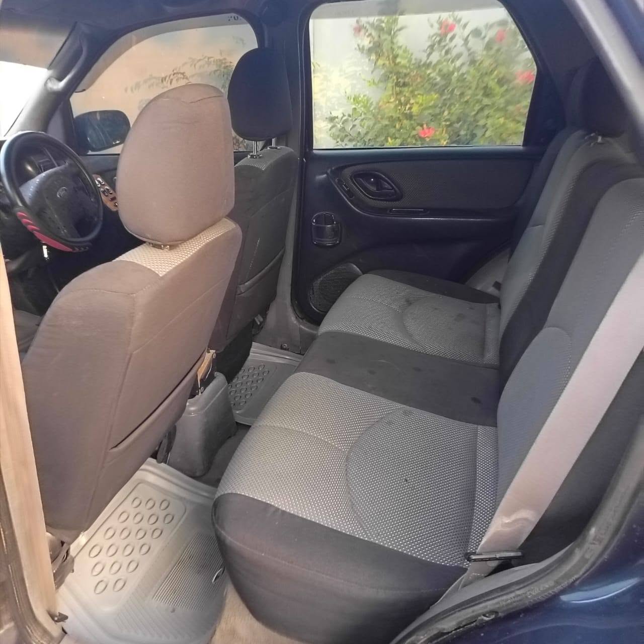 A picture of Ford escape