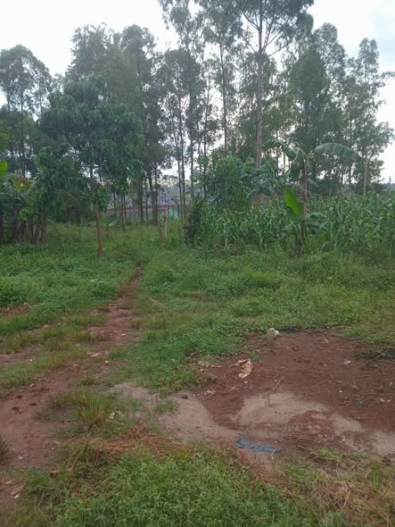 A picture of Quick money plot for sale kigoma nakabugo
