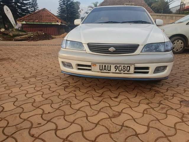 A picture of Premo super UAU