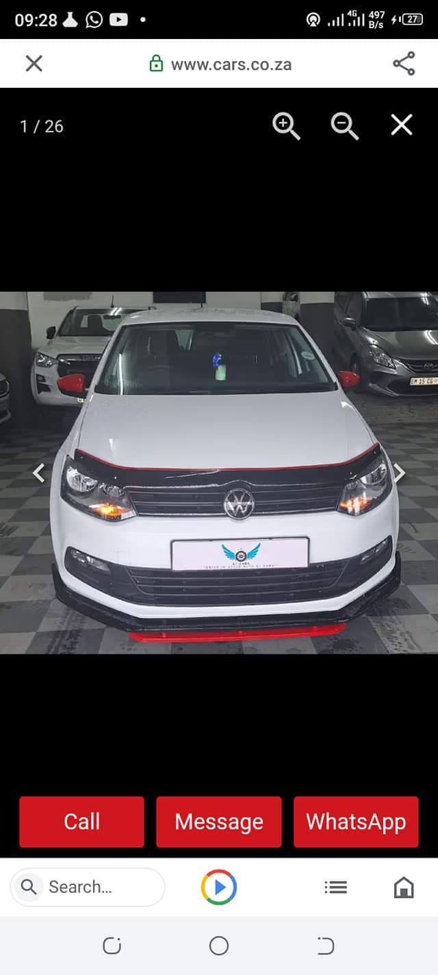 polo vivo