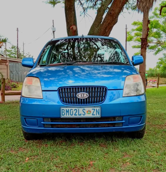 kia picanto under r50000