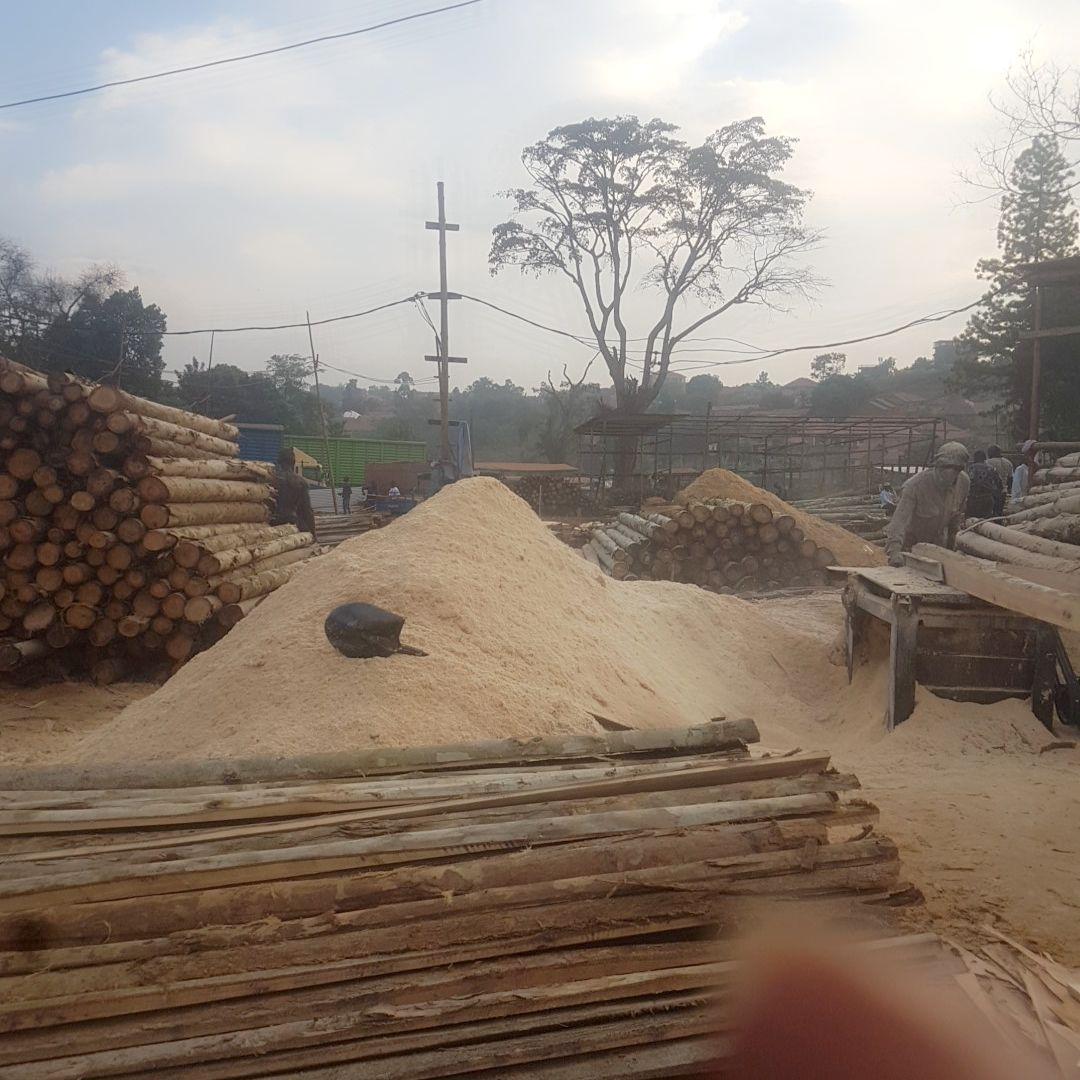 A picture of timbers