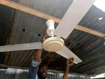 fans