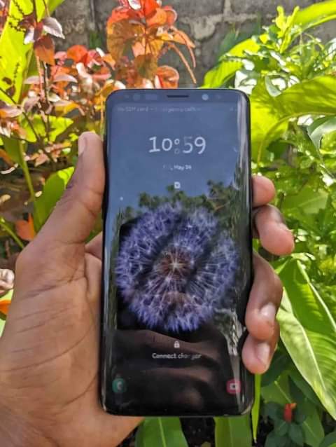 A picture of Samsung s9 plain