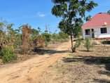 A picture of VIWANJA MADALE MBOPO