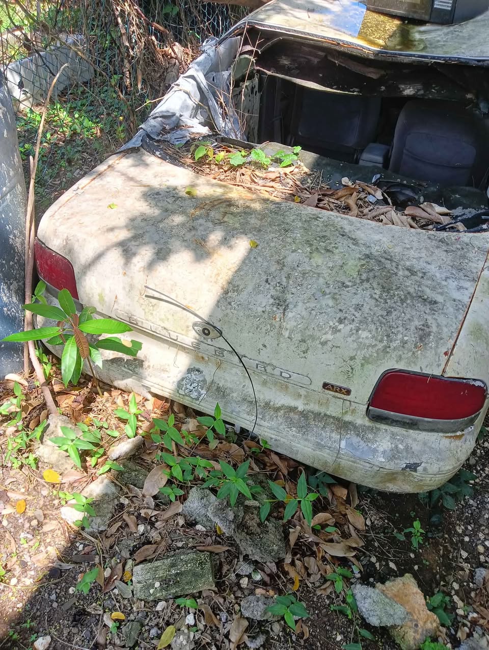 cars