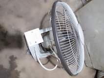fans