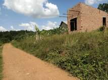 A picture of Wow wow in believable but indeed true 800k plots Newly