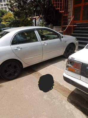 used toyota corolla