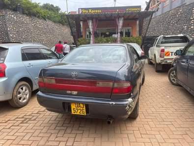 toyota corona