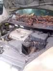 A picture of Toyota sienna model 06 engine 100 first body gear is