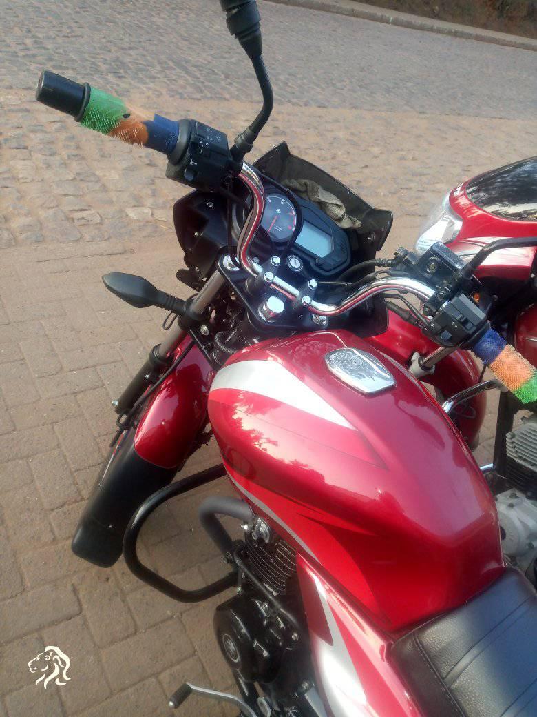 bikes