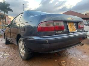 A picture of Kibiina Perfect condition 0703704731 See Translation