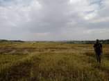 A picture of Viwanja viko Buhongwa 20 20 Bei Mil 1.3 ww ukiwa